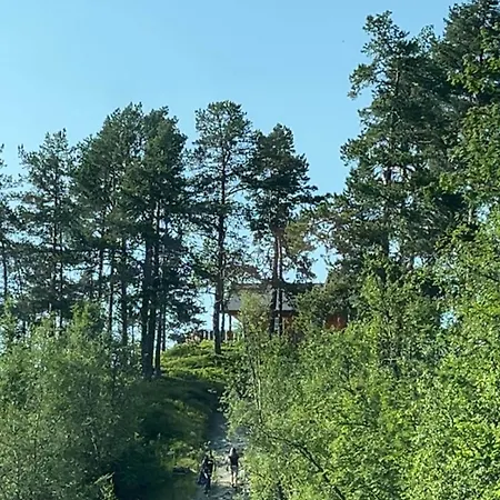 Mountain Oldebu With A Lovely View * Voss